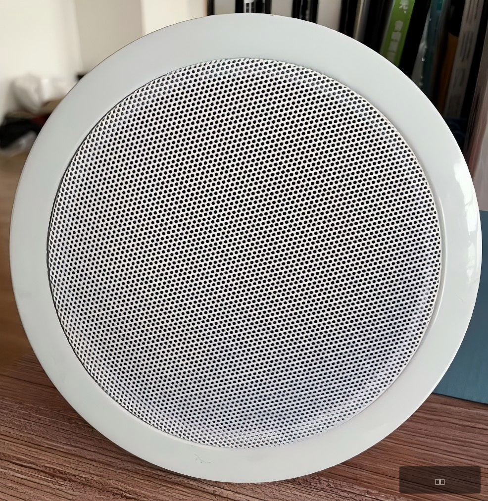 810防火型吸顶音箱